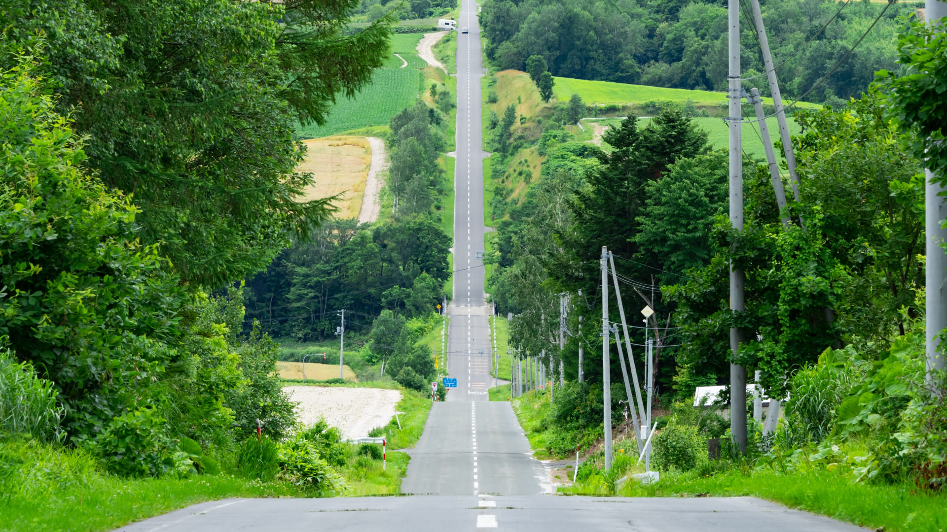 日の出公園ジェットコースターの路 | トナリゾート富良野