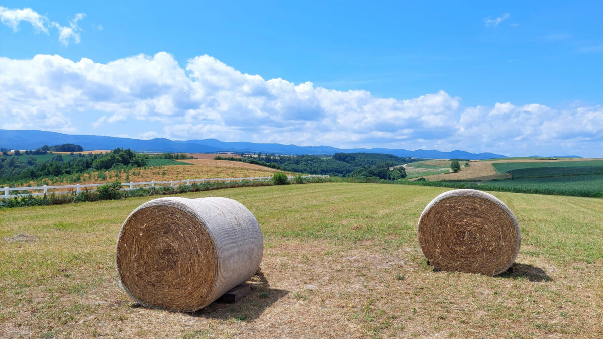 新栄の丘展望公園