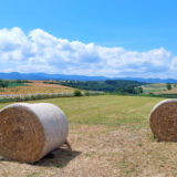 新栄の丘展望公園