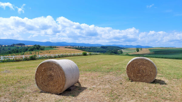 新栄の丘展望公園